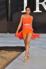 Model walk the ramp for Shouger Merchant Doshi  Show at IRFW 2012 in Goa on 1st Dec 2012 (69).JPG