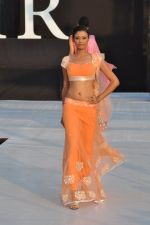 Model walk the ramp for Shouger Merchant Doshi  Show at IRFW 2012 in Goa on 1st Dec 2012 (79).JPG