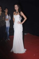 Malaika Arora Khan at Golden Petal Awards in Mumbai on 3rd Dec 2012 (138).JPG
