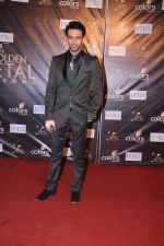 Nandish Sandhu at Golden Petal Awards in Mumbai on 3rd Dec 2012 (39).JPG