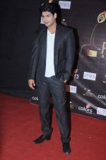 at Golden Petal Awards in Mumbai on 3rd Dec 2012 (100).JPG