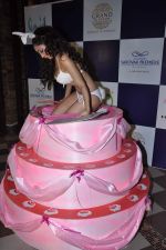 Sofia Hayat_s birthday celebrations at The Grand Sarovar Premiere in Marhaba, Mumbai on 6th Dec 2012 (7).JPG