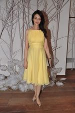 Saumya Tandon at Ensemble turned 25 in Mumbai on 12th Dec 2012 (116).JPG