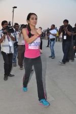 Tara Sharma at Pinkathon in Mumbai on 16th Dec 2012 (27).jpg