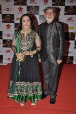 Ila Arun at Big Star Awards red carpet in Mumbai on 16th Dec 2012 (37).JPG