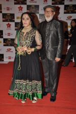 Ila Arun at Big Star Awards red carpet in Mumbai on 16th Dec 2012 (39).JPG