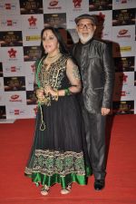 Ila Arun at Big Star Awards red carpet in Mumbai on 16th Dec 2012 (40).JPG