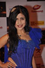 Shibani Kashyap at Big Star Awards red carpet in Mumbai on 16th Dec 2012 (181).JPG