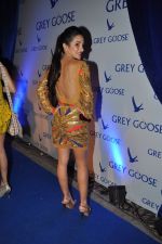 Tara Sharma at Grey Goose fashion event in Tote, Mumbai on 18th Dec 2012 (17).JPG