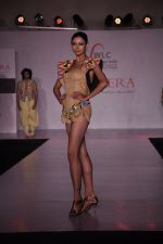 at Chimera fashion show of WLC College in Mumbai on 18th Dec 2012  (15).JPG