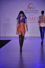 at Chimera fashion show of WLC College in Mumbai on 18th Dec 2012  (4).JPG