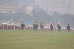 at Gitanjali race in RWITC, Mumbai on 23rd Dec 2012 (179).JPG
