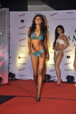 at Miss Maxim Fashion Show at F Bar, Mumbai on 23rd Dec 2012 (43).JPG