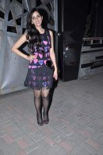 Nishka Lulla at Jackky Bhagnanis_s bash in Juhu, Mumbai on 24th Dec 2012 (5).JPG