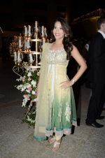 Rashmi Nigam at Riyaz Amlani and Kiran_s wedding reception in Mumbai on 26th Dec 2012 (31).JPG