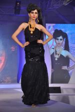 at Style statement jewellery show in Lalit Hotel, Mumbai on 5th Jan 2013 (232).JPG
