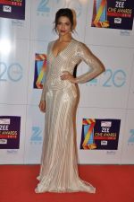 Deepika Padukone at Zee Awards red carpet in Mumbai on 6th Jan 2013 (215).JPG