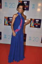 Mugdha Godse at Zee Awards red carpet in Mumbai on 6th Jan 2013 (115).JPG