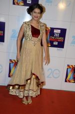 Payal Rohatgi at Zee Awards red carpet in Mumbai on 6th Jan 2013,1 (49).JPG