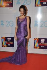 Shazahn Padamsee at Zee Awards red carpet in Mumbai on 6th Jan 2013 (188).JPG