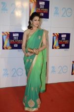 Sonali Bendre at Zee Awards red carpet in Mumbai on 6th Jan 2013,1 (81).JPG