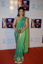 Sonali Bendre at Zee Awards red carpet in Mumbai on 6th Jan 2013,1 (82).JPG