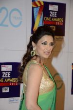 Sonali Bendre at Zee Awards red carpet in Mumbai on 6th Jan 2013,1 (83).JPG