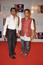 at Zee Awards red carpet in Mumbai on 6th Jan 2013 (11).JPG