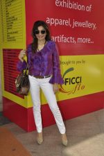 Queenie Dhody at Trends 2013 exhibition organsied by Ficci Flo in Mumbai on 10th Jan 2013 (38).JPG