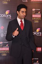 Abhishek Bachchan at Screen Awards red carpet in Mumbai on 12th Jan 2013 (447).JPG