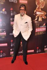 Amitabh Bachchan at Screen Awards red carpet in Mumbai on 12th Jan 2013 (455).JPG