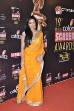 Jaih Khan at Screen Awards red carpet in Mumbai on 12th Jan 2013 (104).JPG