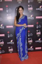Neetu Chandra at Screen Awards red carpet in Mumbai on 12th Jan 2013 (74).JPG