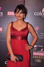 Tejaswini Kolhapure at Screen Awards red carpet in Mumbai on 12th Jan 2013 (374).JPG