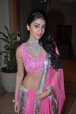 Shriya Saran at Beti Fashion show in Mumbai on 14th Jan 2013 (153).JPG