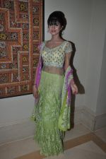 at Beti Fashion show in Mumbai on 14th Jan 2013 (34).JPG
