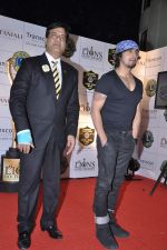 Sonu Nigam at Lions Gold Awards in Mumbai on 16th Jan 2013 (28).JPG
