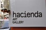 at Hacienda art gallery to launch silver exhibition in Kalaghoda, Mumbai on 16th Jan 2013 (2).JPG