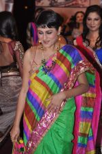 at Neerusha fashion show in Mumbai on 19th Jan 2013 (62).JPG