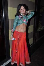 at Neerusha fashion show in Mumbai on 19th Jan 2013 (80).JPG