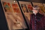 Amitabh Bachchan is India_s Prime Icon by BIG CBS prime in Novotel, Mumbai on 24th Jan 2013 (1).JPG