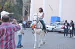 Ileana D Cruz snapped riding horse for Phata Poster Nikla Hero in Mehboob, Mumbai on 24th Jan 2013 (2).JPG