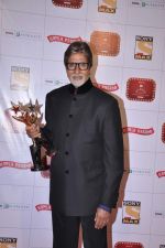 Amitabh Bachchan at Stardust Awards 2013 red carpet in Mumbai on 26th jan 2013 (318).JPG