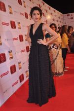 Anushka Sharma at Stardust Awards 2013 red carpet in Mumbai on 26th jan 2013 (538).JPG