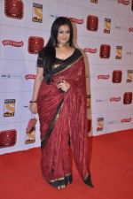 Divya Dutta at Stardust Awards 2013 red carpet in Mumbai on 26th jan 2013 (369).JPG