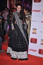 Parineeti Chopra at Stardust Awards 2013 red carpet in Mumbai on 26th jan 2013 (487).JPG