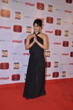 Priyanka Chopra at Stardust Awards 2013 red carpet in Mumbai on 26th jan 2013 (349).JPG