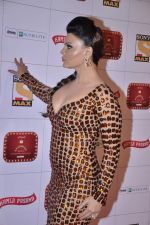 Rakhi Sawant at Stardust Awards 2013 red carpet in Mumbai on 26th jan 2013 (329).JPG