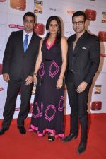 Ronit Roy, Rohit Roy at Stardust Awards 2013 red carpet in Mumbai on 26th jan 2013 (410).JPG