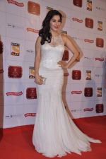 Sophie Chaudhary at Stardust Awards 2013 red carpet in Mumbai on 26th jan 2013 (387).JPG